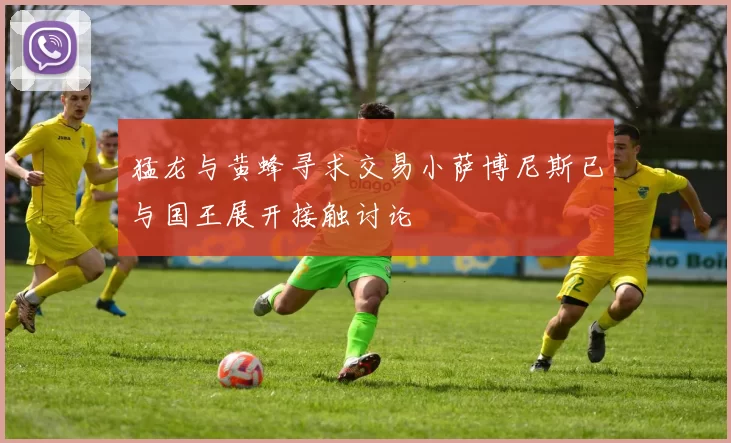 猛龙与黄蜂寻求交易小萨博尼斯已与国王展开接触讨论